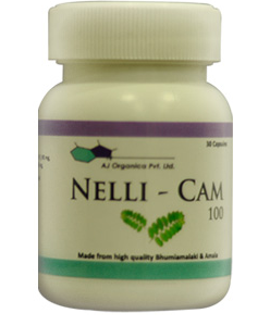Nelli-cam 250 / 100