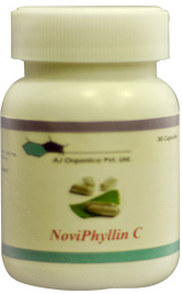 Noviphyllin CTM